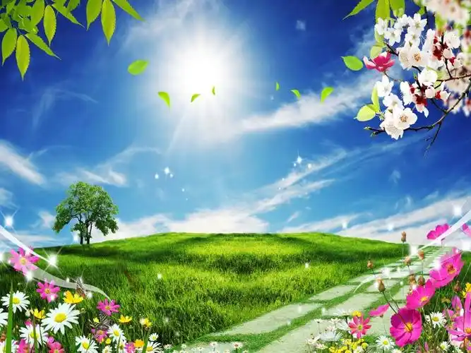 相关资讯封面